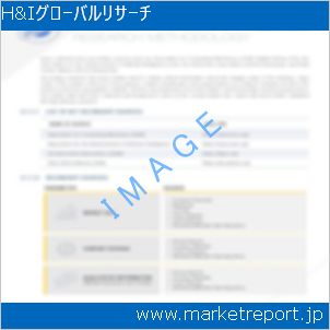 市場と産業調査レポートのイメージ